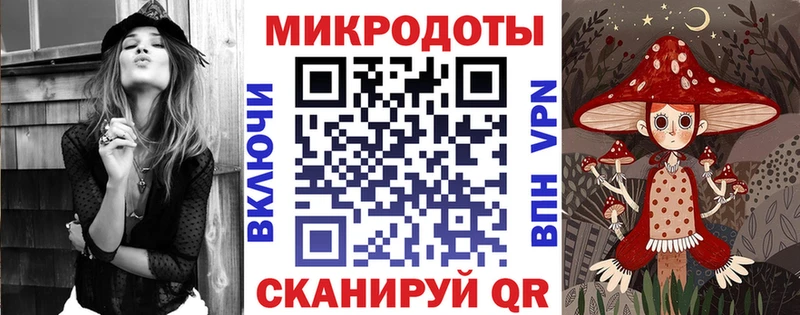 Галлюциногенные грибы Psilocybine cubensis  Светлоград 